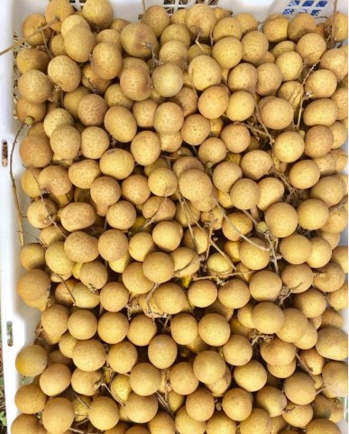 รูปที่ 4