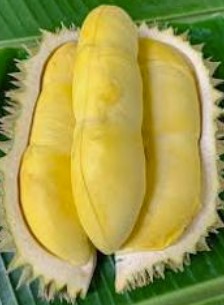 รูปที่ 1