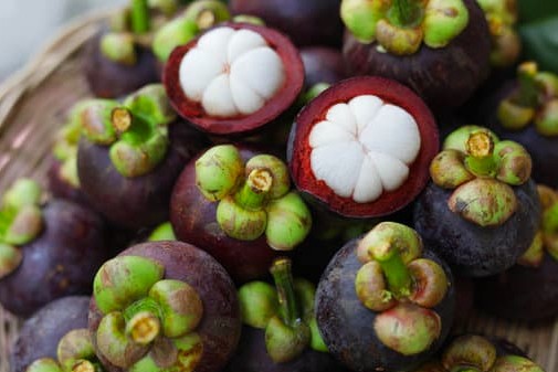 รูปที่ 2